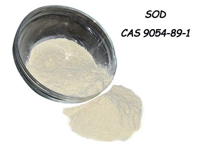 Pou ki sa superoksid dismutase (SOD) CAS 9054-89-1 itilize?